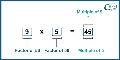 cmo-number sense-c5-6